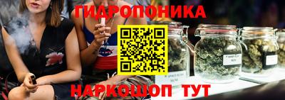 молекула духа Бийск
