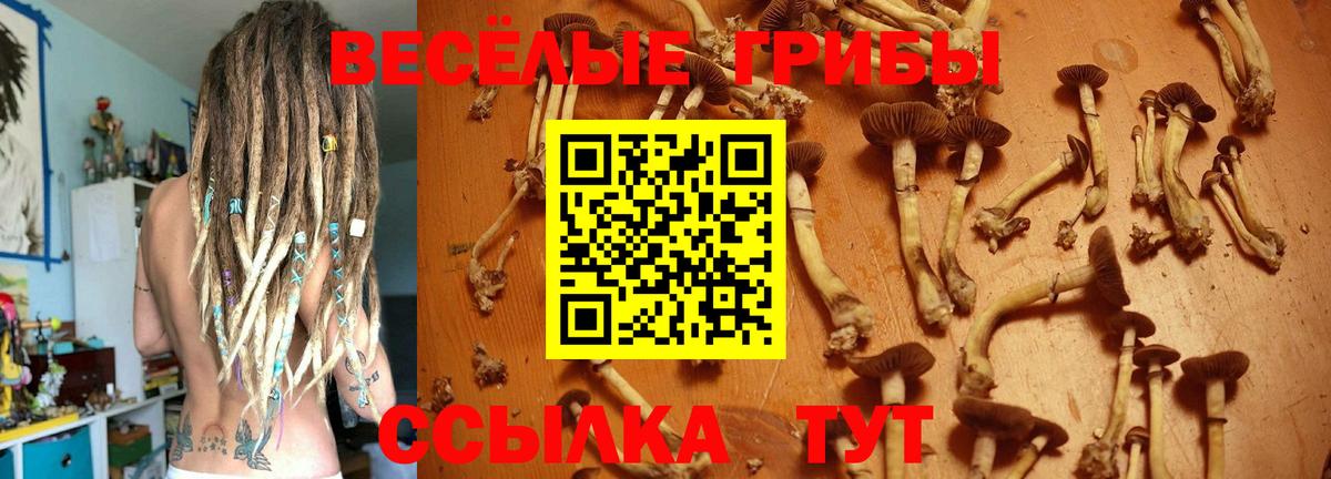 Галлюциногенные грибы ЛСД Гусиноозёрск