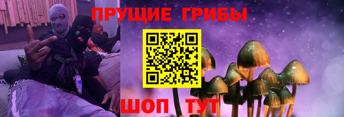 Гусиноозёрск  Псилоцибиновые грибы Psilocybe  Вход с VPN 